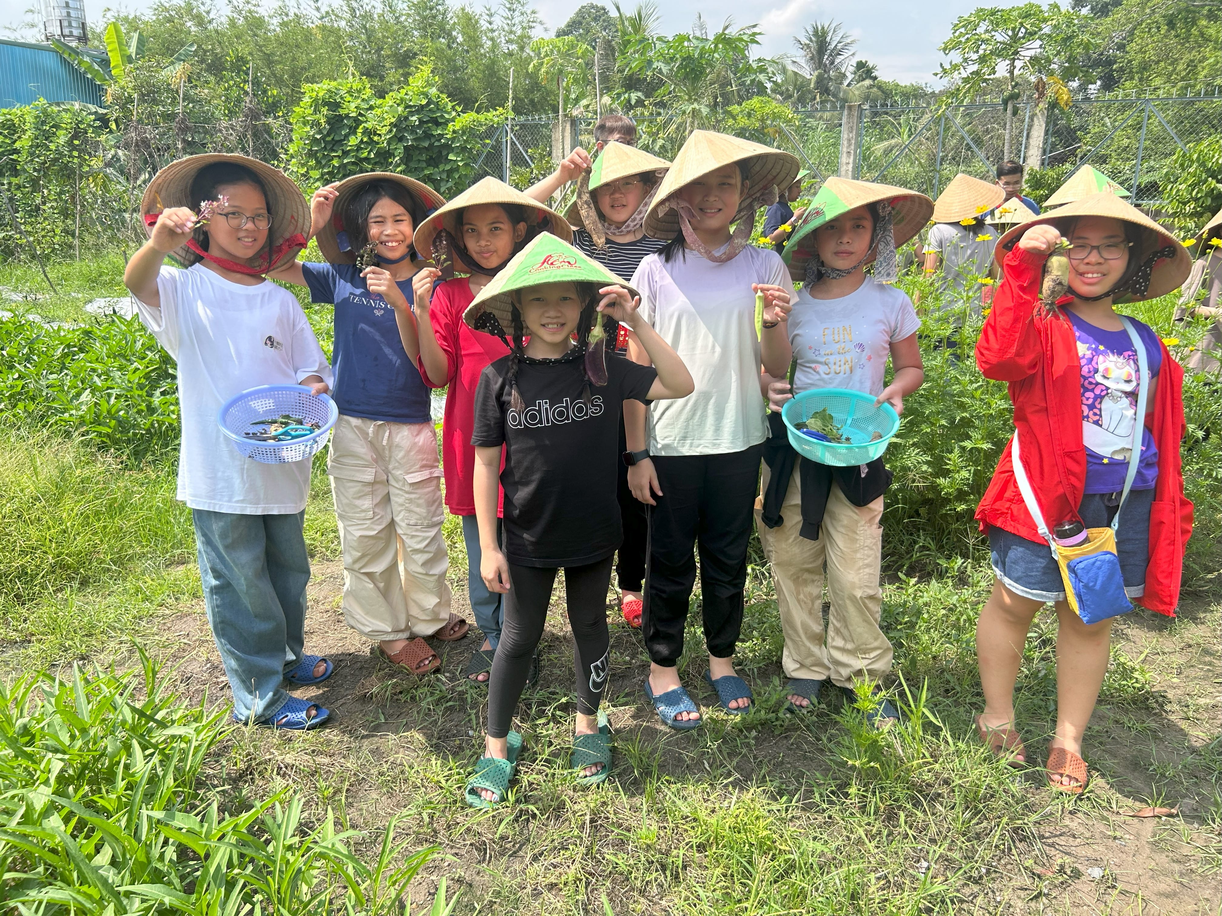 OLJ Vietnam 4